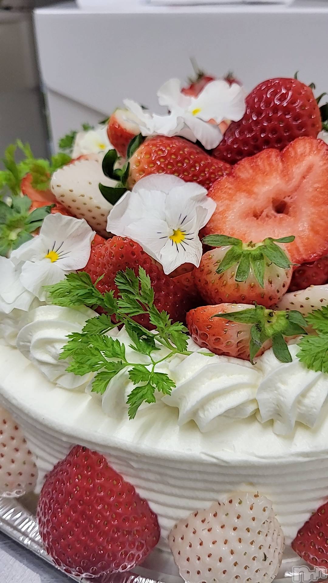 Х顦ֽϽХ Lips(奯祭Хåץ) 2025ǯ27̥֥֤🍓🎂