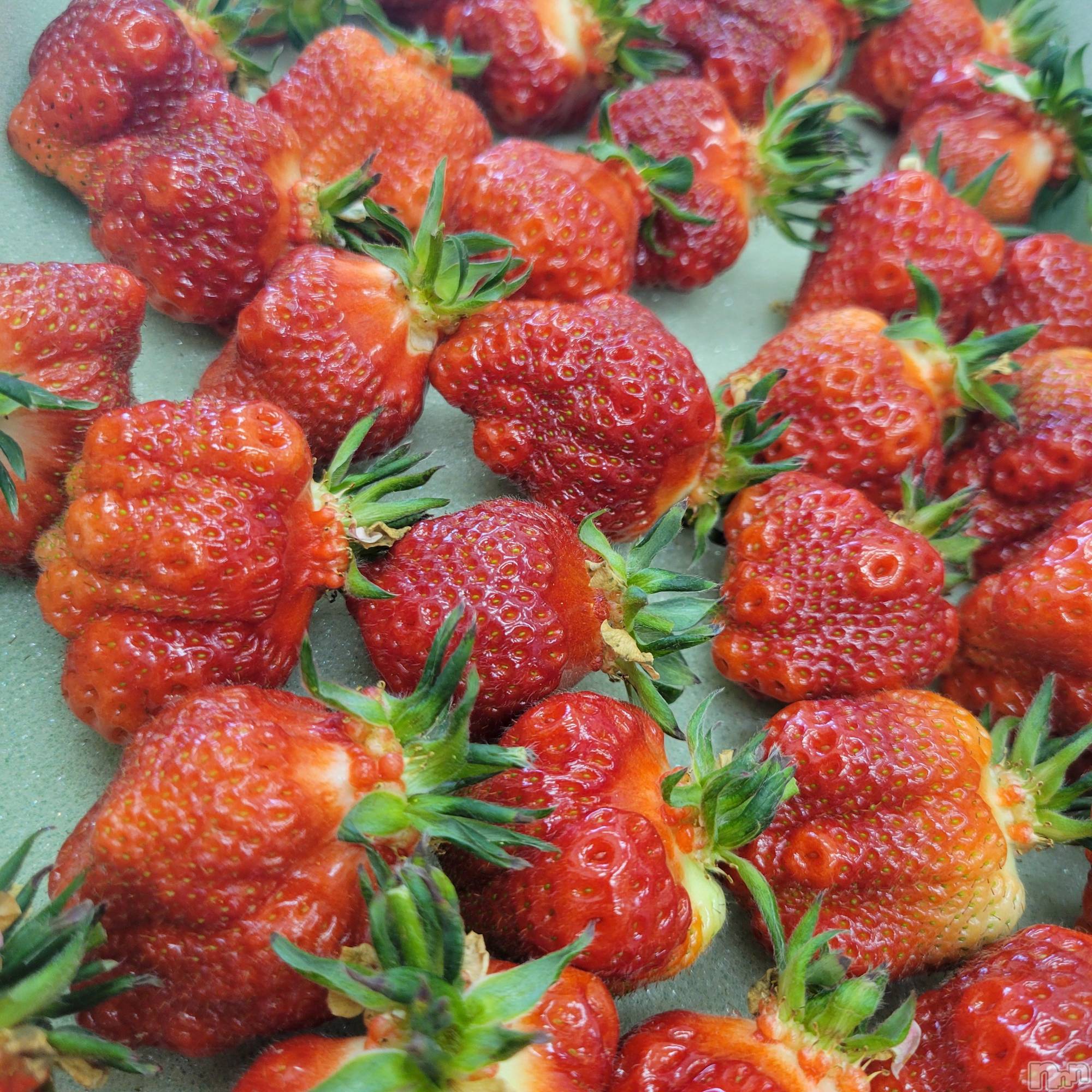 Х顦ֽϽХ Lips(奯祭Хåץ) 2025ǯ53ֱ̥֥۸ɱ🍓
