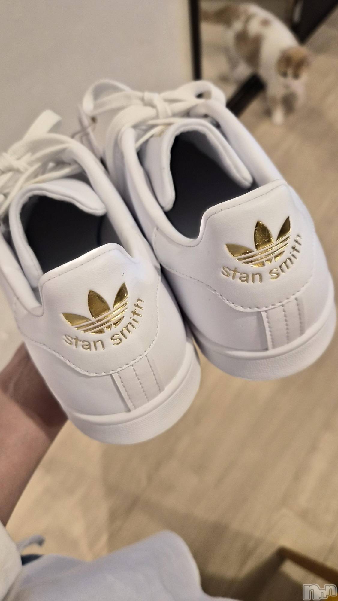 Х顦ֽϽХ Lips(奯祭Хåץ) 2025ǯ928̥֥֥ˡ👟
