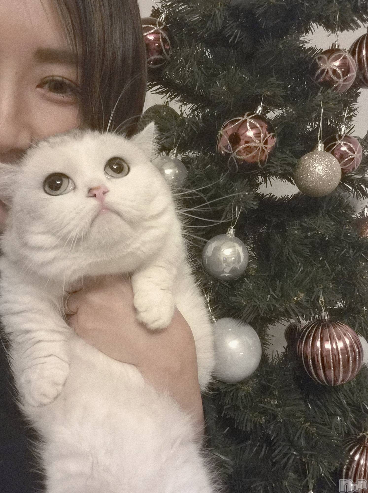 Х顦ֽϽХ Lips(奯祭Хåץ) 2025ǯ1213̥֥֥ꥹޥĥ꡼🎄