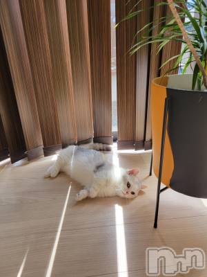 Х顦ֽϽХ Lips(奯祭Хåץ) 89̥֥🤍🐱
