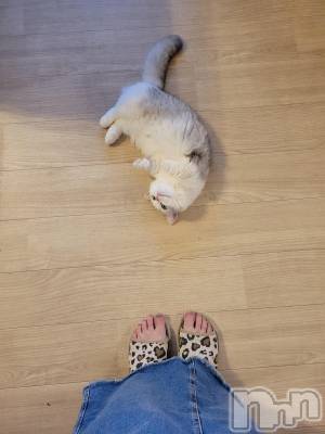 Х顦ֽϽХ Lips(奯祭Хåץ) 927ֲ̥֥椬Ȥ̼🐱💕