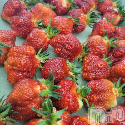 Х顦ֽϽХ Lips(奯祭Хåץ) 53ֱ̥֥۸ɱ🍓
