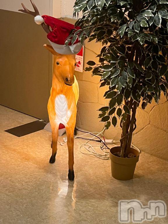 長岡デリヘル長岡人妻市(ナガオカヒトヅマイチ) 彩春【いろは】★大人可愛い(37)の12月13日写メブログ「お礼💌」