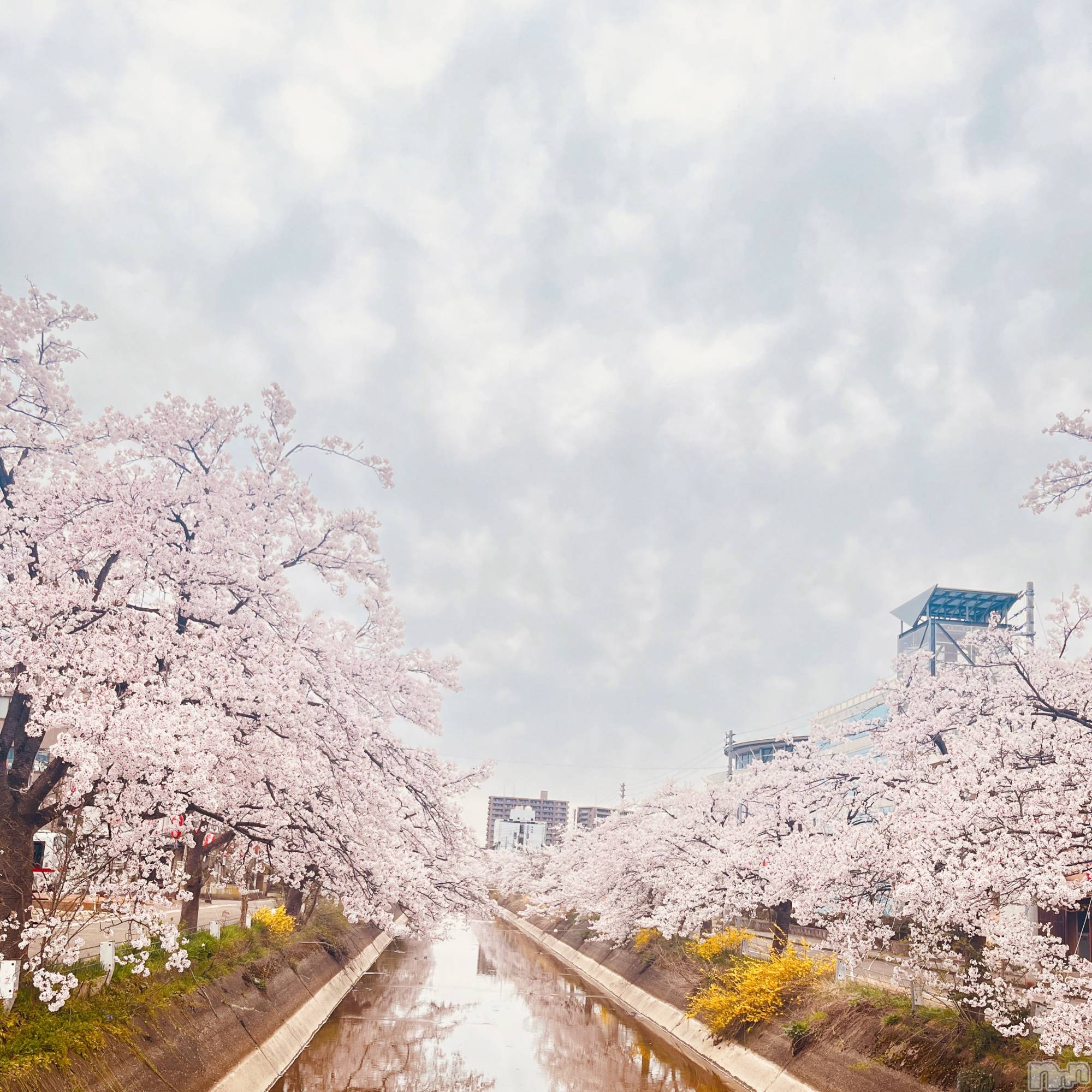 長岡デリヘル長岡人妻市(ナガオカヒトヅマイチ)彩春【いろは】★大人可愛い(37)の2026年4月16日写メブログ「あっという間に…」