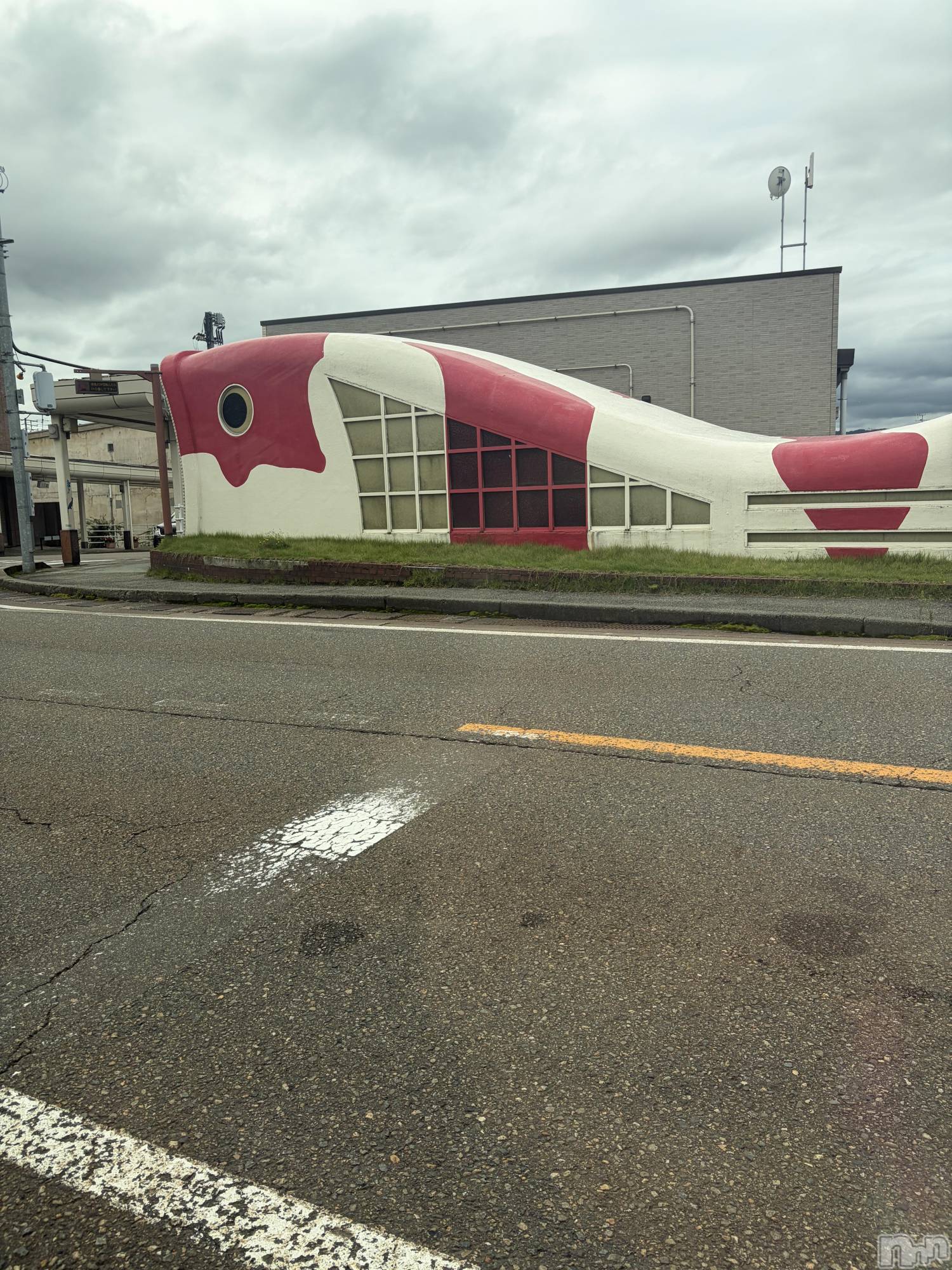 長岡デリヘル長岡人妻市(ナガオカヒトヅマイチ)いろは★笑顔に惚れて 縮まる距離(37)の2026年9月28日写メブログ「あ、これこれ‼️」