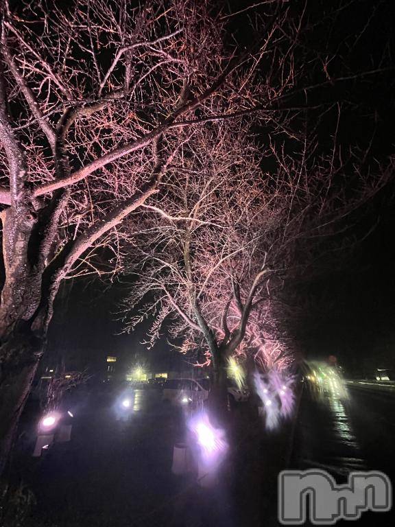 長岡デリヘル長岡人妻市(ナガオカヒトヅマイチ)彩春【いろは】★大人可愛い(37)の2025年12月19日写メブログ「出勤♡」