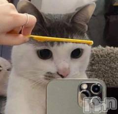 長岡デリヘル長岡人妻市(ナガオカヒトヅマイチ) 彩春【いろは】★大人可愛い(37)の9月17日写メブログ「出勤スケジュール♡」