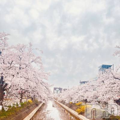 長岡デリヘル 長岡人妻市(ナガオカヒトヅマイチ) 彩春【いろは】★大人可愛い(37)の4月16日写メブログ「あっという間に…」