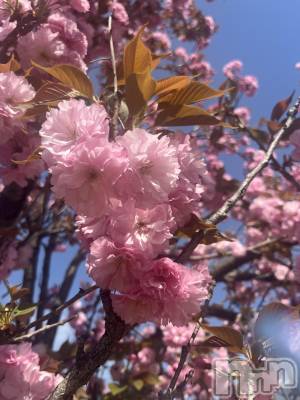 長岡デリヘル 長岡人妻市(ナガオカヒトヅマイチ) 彩春【いろは】★大人可愛い(37)の4月21日写メブログ「本日も」