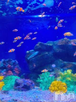 長岡デリヘル 長岡人妻市(ナガオカヒトヅマイチ) 彩春【いろは】★大人可愛い(37)の9月13日写メブログ「長期休暇になってますが…」