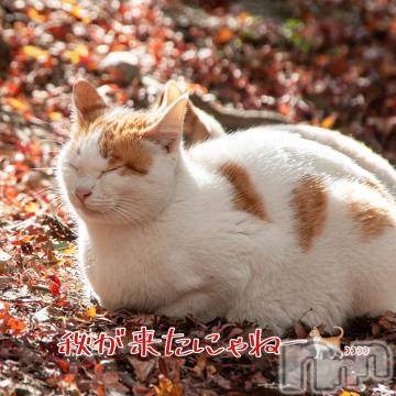 長岡デリヘル 長岡人妻市(ナガオカヒトヅマイチ) 彩春【いろは】★大人可愛い(37)の10月1日写メブログ「ステキ✨」