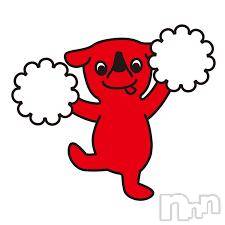 長岡デリヘル 長岡人妻市(ナガオカヒトヅマイチ) 彩春【いろは】★大人可愛い(37)の10月6日写メブログ「お礼ブログ💌」