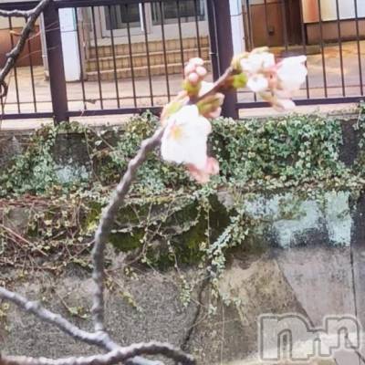 長岡デリヘル 長岡人妻市(ナガオカヒトヅマイチ) 彩春【いろは】★大人可愛い(37)の4月9日写メブログ「お知らせ⋆͛📢⋆」