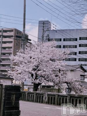 長岡デリヘル 長岡人妻市(ナガオカヒトヅマイチ) 彩春【いろは】★大人可愛い(37)の4月12日写メブログ「やっぱりいいね🩷」
