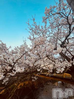 長岡デリヘル 長岡人妻市(ナガオカヒトヅマイチ) 彩春【いろは】★大人可愛い(37)の4月13日写メブログ「好き♥️」