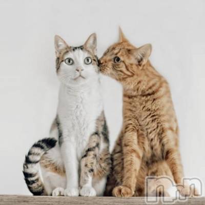 長岡デリヘル 長岡人妻市(ナガオカヒトヅマイチ) 彩春【いろは】★大人可愛い(37)の9月29日写メブログ「💌お礼ブログ💌」