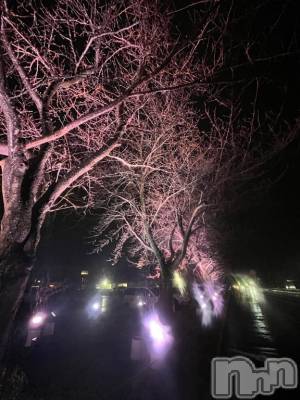 長岡デリヘル 長岡人妻市(ナガオカヒトヅマイチ) 彩春【いろは】★大人可愛い(37)の12月19日写メブログ「出勤♡」