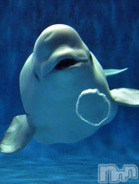 佐久発デリヘル佐久上田人妻隊(サクウエダヒトヅマタイ) みやび(35)の2月22日写メブログ「[お題]from:かつ丼マンさん」