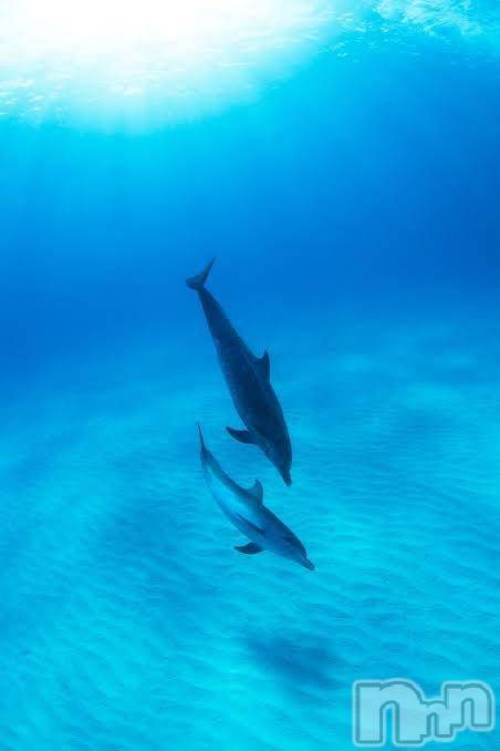 佐久発デリヘル佐久上田人妻隊(サクウエダヒトヅマタイ) みやび(35)の3月13日写メブログ「[お題]from:ディマンシェさん」