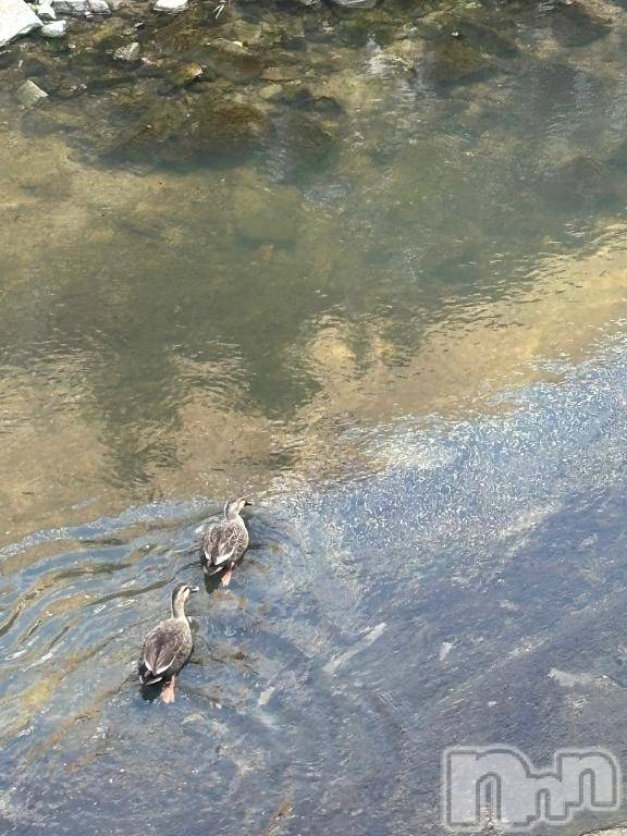 佐久発デリヘル佐久上田人妻隊(サクウエダヒトヅマタイ)みやび(35)の2025年11月5日写メブログ「[お題]from:コワッパさん」