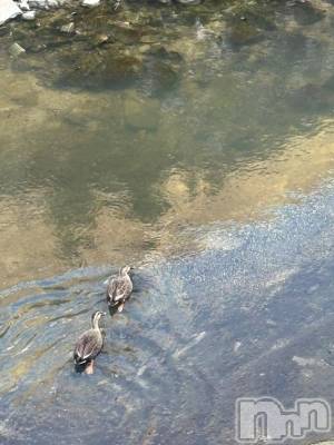 佐久発デリヘル 佐久上田人妻隊(サクウエダヒトヅマタイ) みやび(35)の11月5日写メブログ「[お題]from:コワッパさん」