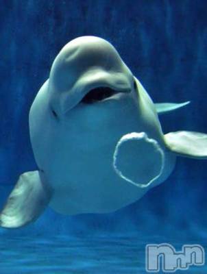 佐久発デリヘル 佐久上田人妻隊(サクウエダヒトヅマタイ) みやび(35)の2月22日写メブログ「[お題]from:かつ丼マンさん」