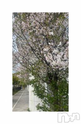 佐久発デリヘル 佐久上田人妻隊(サクウエダヒトヅマタイ) みやび(35)の4月15日写メブログ「[お題]from:ミートボールさん」