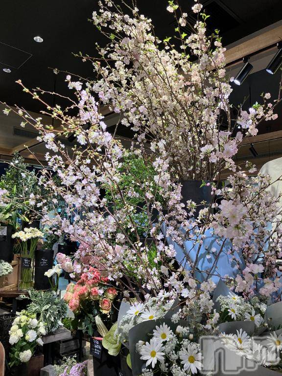 上田発人妻デリヘル人妻華道 上田店(ヒトヅマハナミチウエダテン)【熟女】やよい(60)の2025年4月11日写メブログ「お久しぶりです」