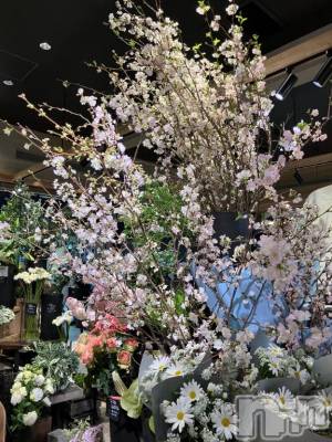 上田発人妻デリヘル 人妻華道 上田店(ヒトヅマハナミチウエダテン) 【熟女】やよい(60)の4月11日写メブログ「お久しぶりです」