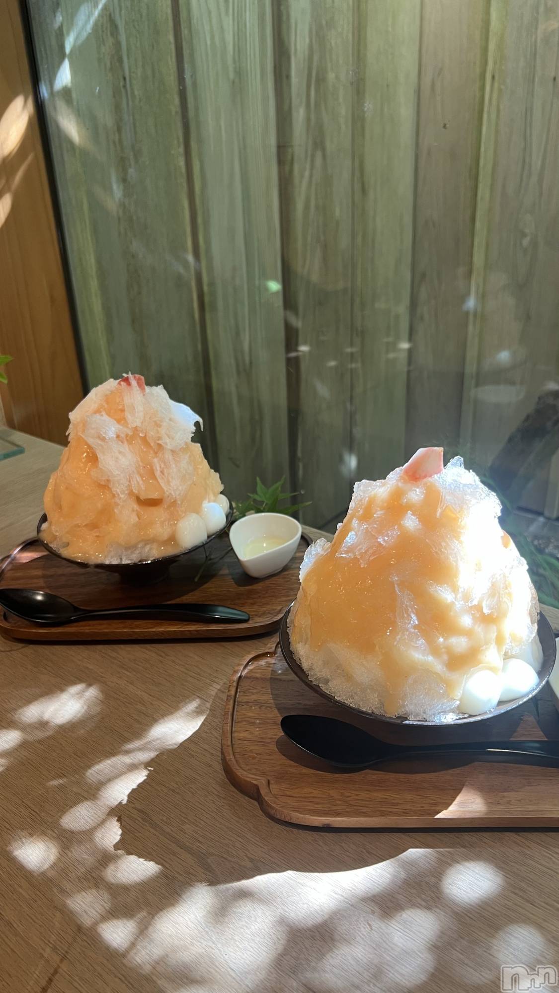 ʥå륺СJEUNESSE(ͥ) 2024ǯ829̥֥🍧