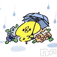 上越デリヘル上越最安値！奥様Deli急便(ジョウエツサイヤスネ！オクサマデリキュウビン) 新人　あおい(32)の6月18日写メブログ「おはようございます♡」