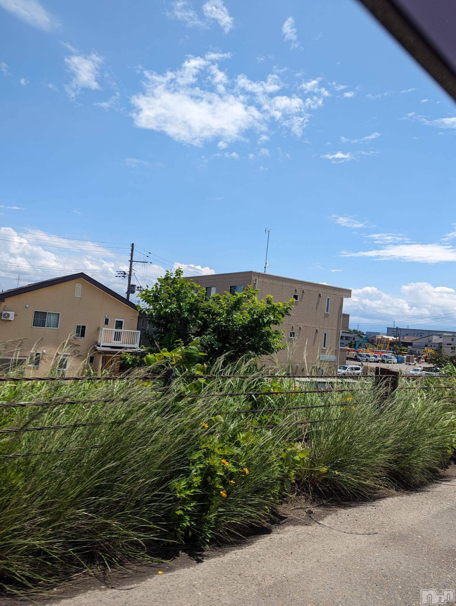 上越人妻デリヘル上越最安値！奥様Deli急便(ジョウエツサイヤスネ！オクサマデリキュウビン)新人　あおい(32)の2024年6月3日写メブログ「ありがとう♡」