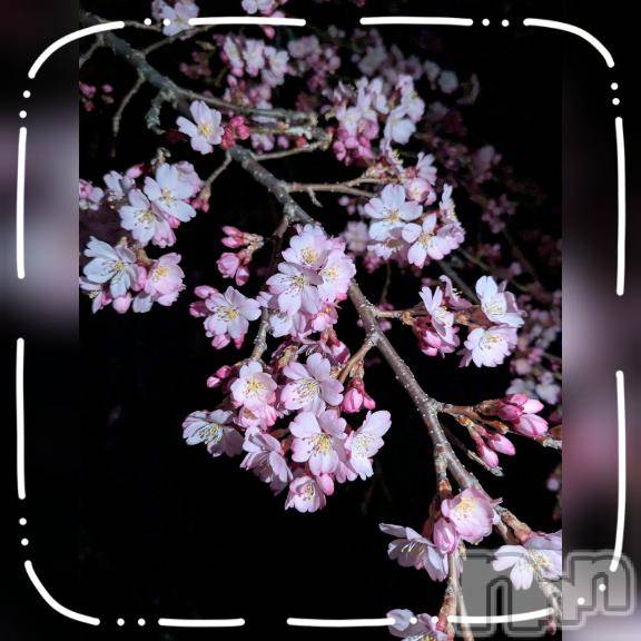 上田発デリヘル人妻華道 上田店(ヒトヅマハナミチウエダテン)【熟女】しおり(48)の2026年3月28日写メブログ「おはようございます☆」