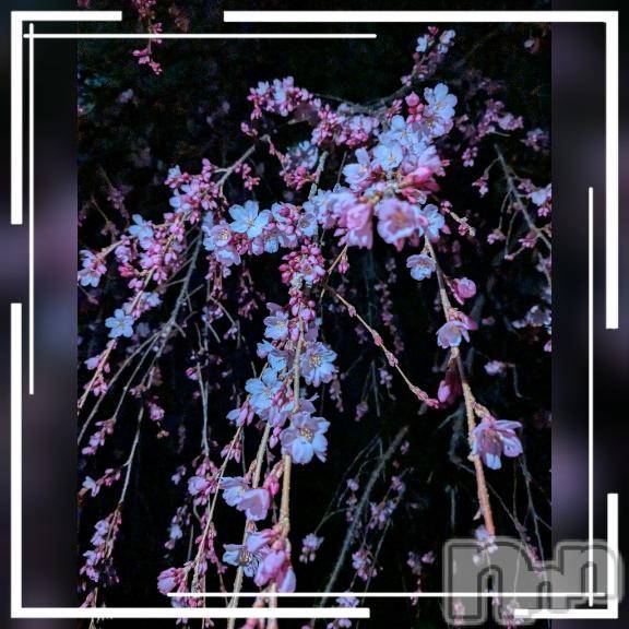 上田発デリヘル人妻華道 上田店(ヒトヅマハナミチウエダテン)【熟女】しおり(48)の2026年3月30日写メブログ「おはようございます☆」