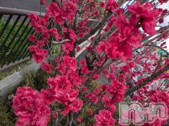 上田発デリヘル人妻華道 上田店(ヒトヅマハナミチウエダテン) 【熟女】しおり(48)の5月8日写メブログ「ありがとうございました☆」