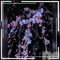 上田発デリヘル人妻華道 上田店(ヒトヅマハナミチウエダテン) 【熟女】しおり(48)の3月30日写メブログ「おはようございます☆」