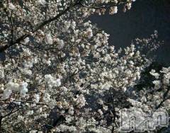 上田発デリヘル人妻華道 上田店(ヒトヅマハナミチウエダテン) 【熟女】しおり(48)の4月1日写メブログ「ありがとうございました☆」