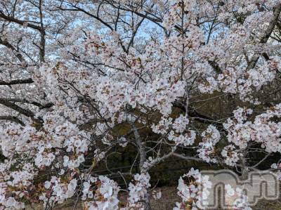 上田発デリヘル 人妻華道 上田店(ヒトヅマハナミチウエダテン) 【熟女】しおり(48)の4月10日写メブログ「ありがとうございました☆」