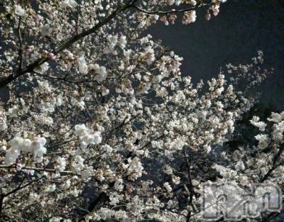 上田発デリヘル 人妻華道 上田店(ヒトヅマハナミチウエダテン) 【熟女】しおり(48)の4月1日写メブログ「ありがとうございました☆」