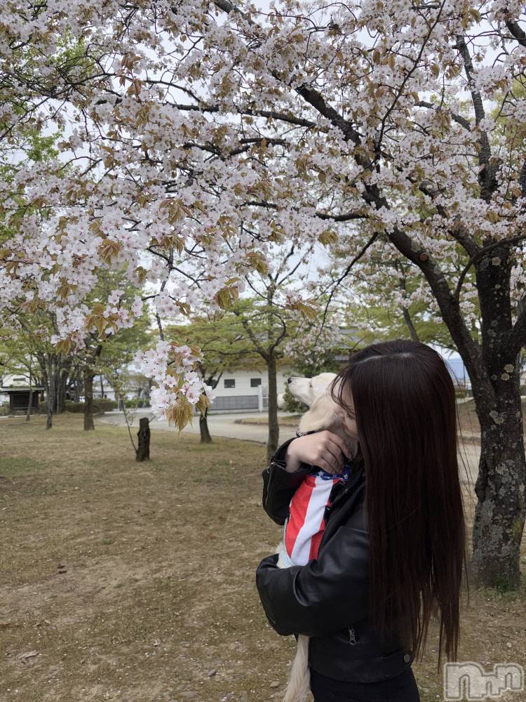 ��Ʋ���ʥå��������륺�С�LOUNGE ICHI ������(�饦�󥸥���) �����ߤ���4��16���̥�֥����֤����🌸��