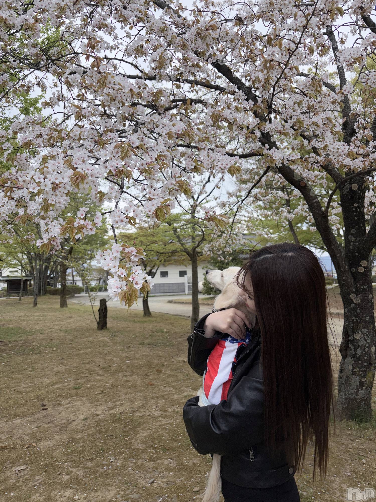 ��Ʋ���ʥå��������륺�С�LOUNGE ICHI ������(�饦�󥸥���) ��2026ǯ4��16���̥�֥����֤����🌸��