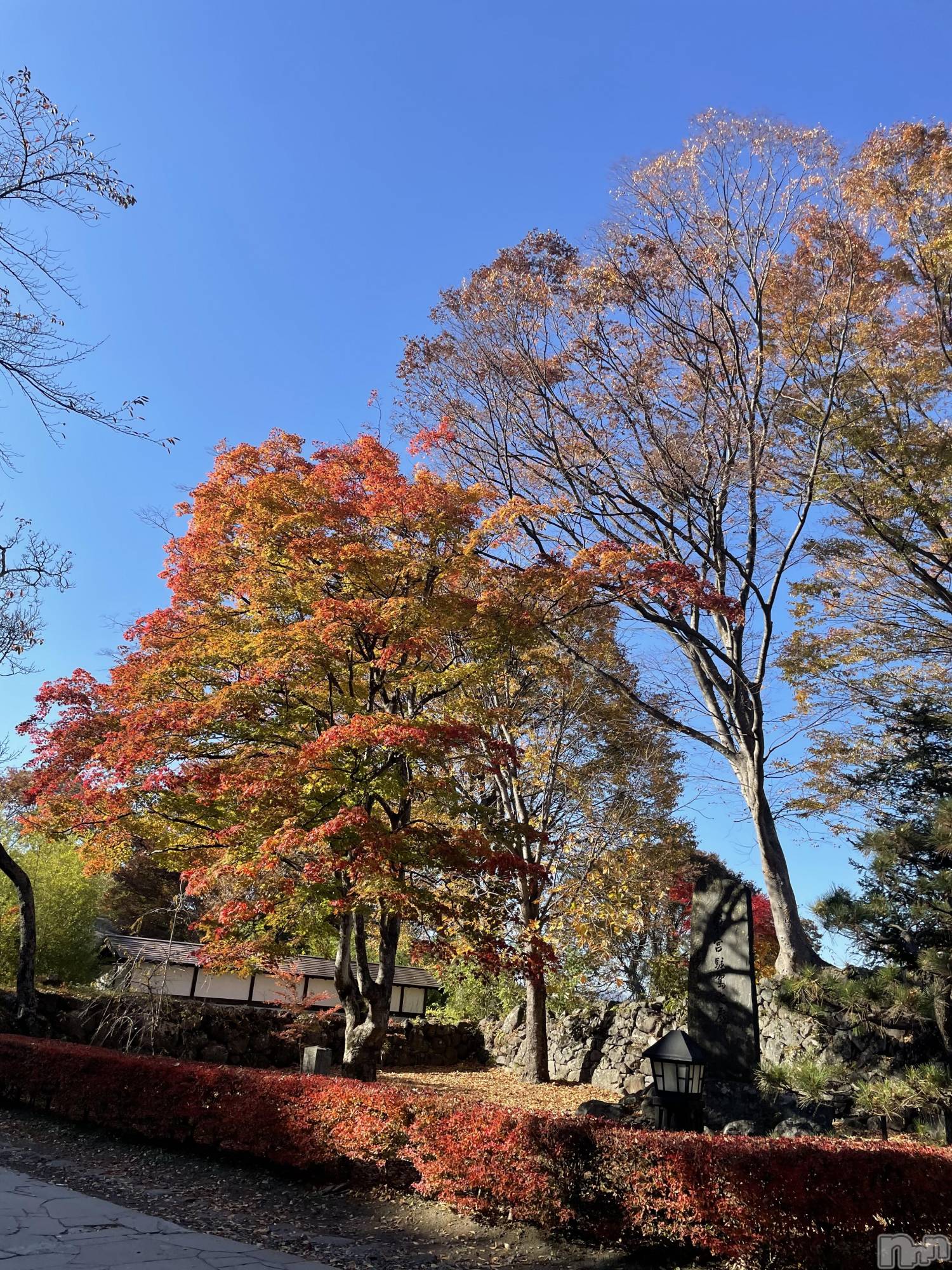 Ʋʥå륺СLOUNGE ICHI (饦󥸥) 2024ǯ1113ֹ̥֥🍁✨