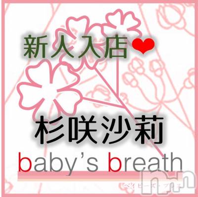 麻轡ڿ͡(ҥߥ) Ĺҥߥġ󥺥 baby's breath(٥ӡ ֥쥹)ҡ