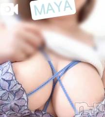 新潟デリヘル新潟市鳥屋野潟ちゃんこ(ニイガタシトヤノガタチャンコ) まや(28)の10月1日写メブログ「追加✨」