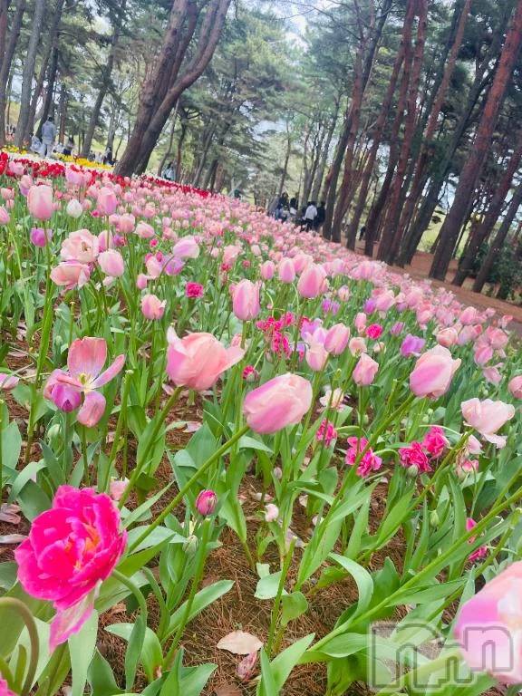 新潟デリヘル新潟市鳥屋野潟ちゃんこ(ニイガタシトヤノガタチャンコ) ゆい(31)の6月12日写メブログ「会いたいキモチ♥」