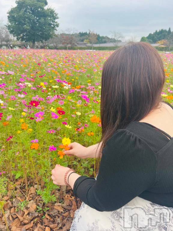新潟デリヘル新潟市鳥屋野潟ちゃんこ(ニイガタシトヤノガタチャンコ)ゆい(31)の2026年10月24日写メブログ「癒されちゃった♥」