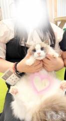 新潟デリヘル新潟市鳥屋野潟ちゃんこ(ニイガタシトヤノガタチャンコ) ゆい(31)の5月31日写メブログ「寝落ちのお供♥」