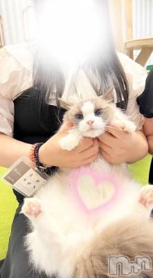 新潟デリヘル 新潟市鳥屋野潟ちゃんこ(ニイガタシトヤノガタチャンコ) ゆい(31)の5月31日写メブログ「寝落ちのお供♥」