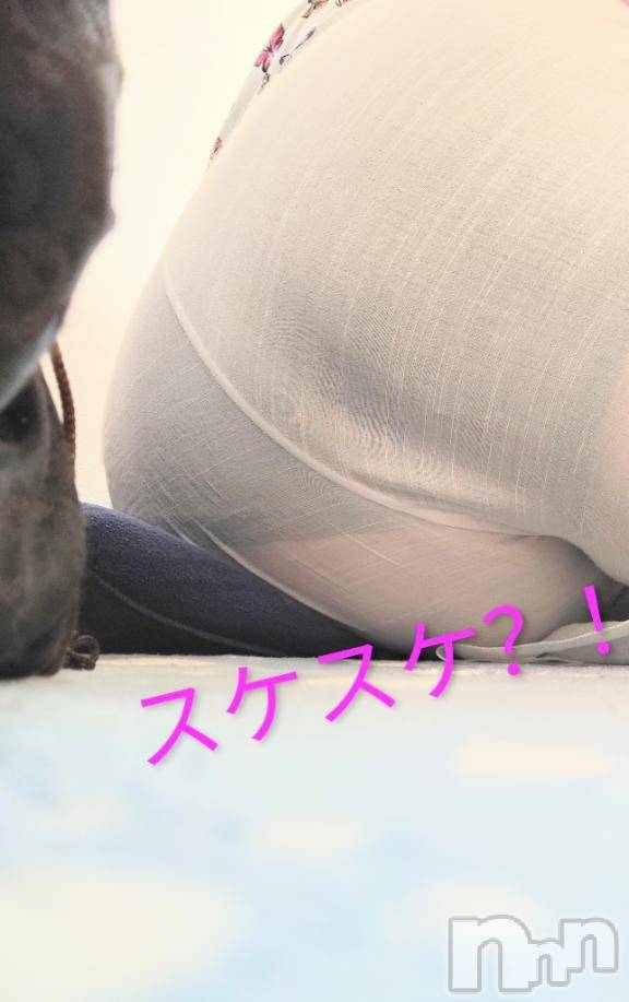 新潟ぽっちゃり新潟市鳥屋野潟ちゃんこ(ニイガタシトヤノガタチャンコ)まこ(45)の2025年8月19日写メブログ「透けてる」